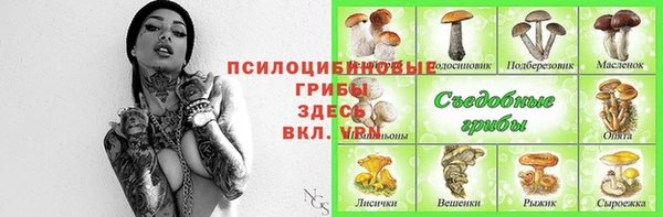 прущие крисы Аркадак