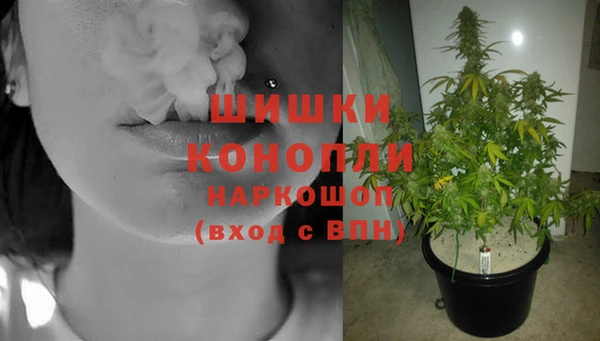 гидропоника Арсеньев
