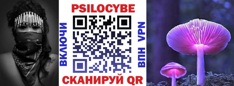Псилоцибиновые грибы Psilocybe  Гуково 
